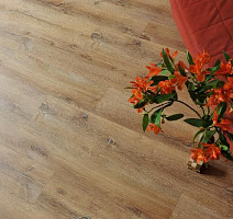 Кварцвиниловые полы Ecoclick Rich замковый 4.2мм NOX-1959 Дуб Марракеш фото 1 | FLOORDEALER